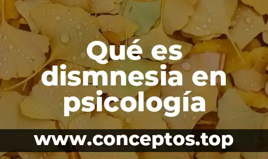 Que es un chunk en psicologia 8 Qué es dismnesia en psicología