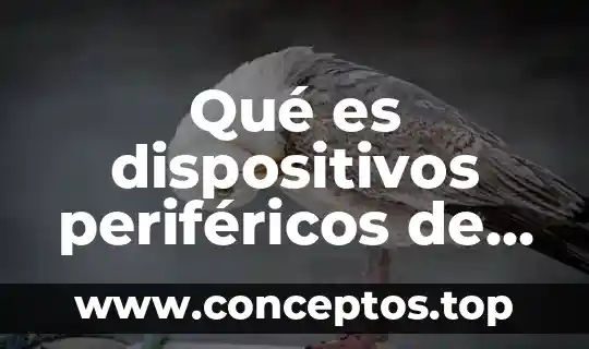 Qué es dispositivos periféricos de entrada salida