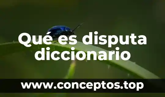 Diccionario que es concuerdo 3 Qué es disputa diccionario