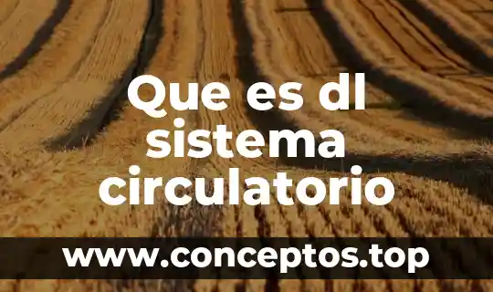 Que es dl sistema circulatorio