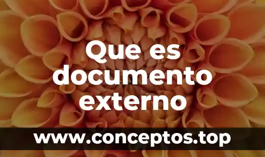 Que es documento externo