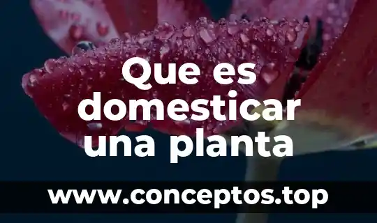 Que es domesticar una planta