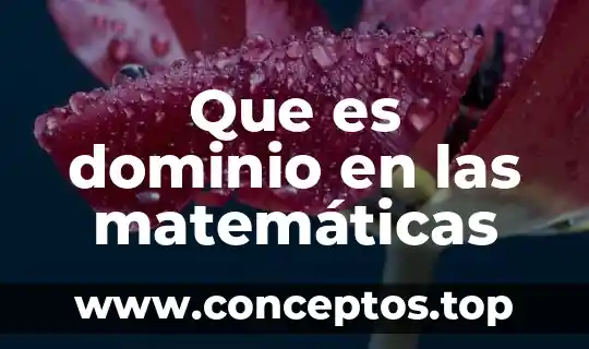 Que es un sistema de nombre de dominio 8 Que es dominio en las matemáticas