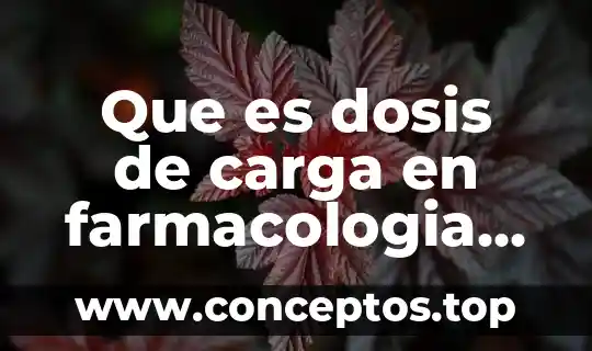 Que es dosis ejemplo 3 Que es dosis de carga en farmacologia nom