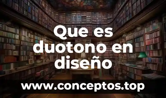 Que es el ashutado de diseño 3 Que es duotono en diseño