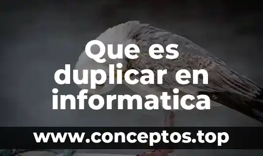 Que es duplicar en informatica