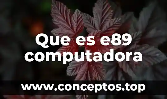 Que es e89 computadora