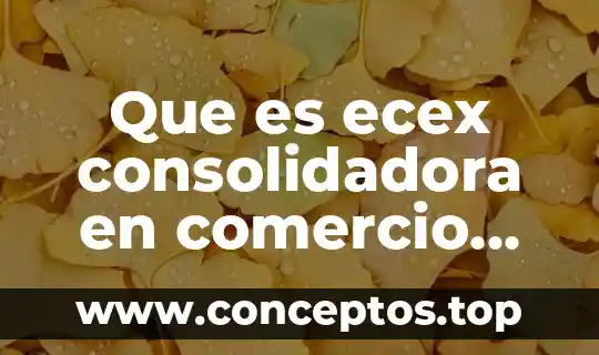 Que es la politica exterior sol 7 Que es ecex consolidadora en comercio exterior