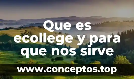 Que es ecollege y para que nos sirve