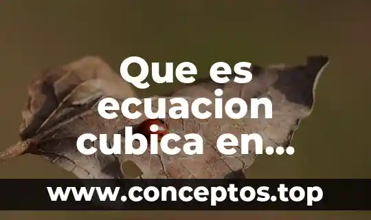 Que es ecuacion cubica en matematicas