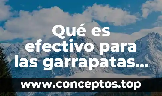 Qué es efectivo para las garrapatas en los perros
