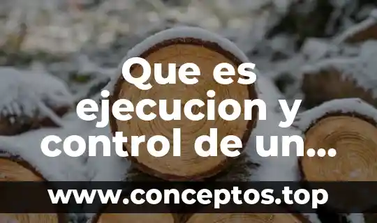 Que es ejecucion y control de un proyecto