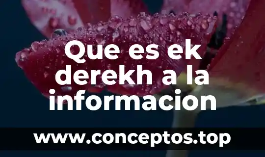 Que es ek derekh a la informacion