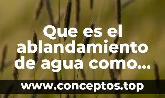 Que es el ablandamiento de agua como se realiza