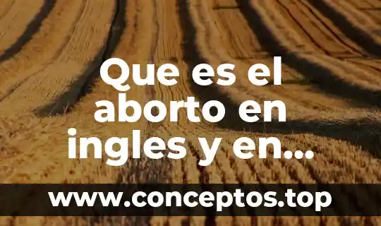 Que es sociedad de consumo en español 3 Que es el aborto en ingles y en español