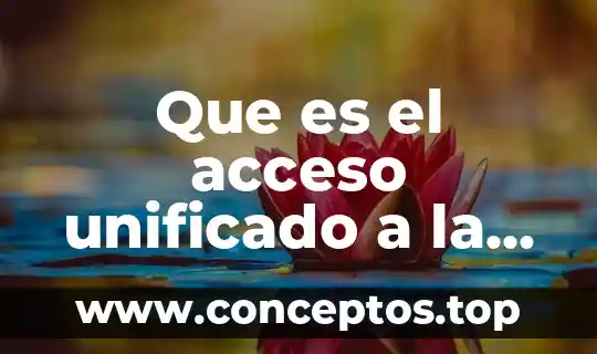 Que es el acceso unificado a la informacion