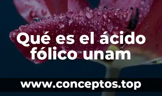 Qué es ácido succínico en enología 3 Qué es el ácido fólico unam
