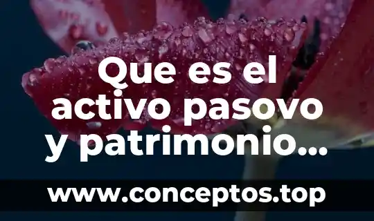 Que es el activo pasovo y patrimonio neto
