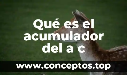 Qué es el acumulador del a c