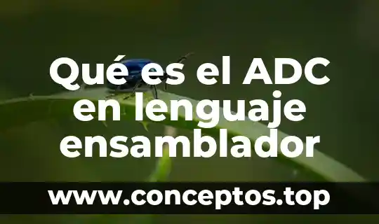 Que es el lenguaje lirismo 4 Qué es el ADC en lenguaje ensamblador