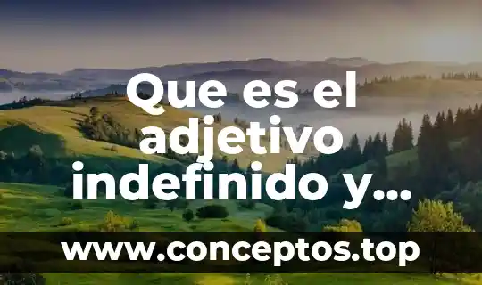 Que es el adjetivo indefinido y ejemplos