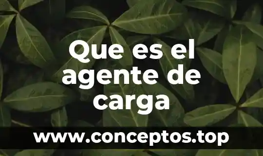 Que es el agente de carga
