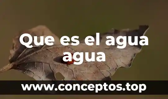 Que es magnetizar el agua 8 Que es el agua agua