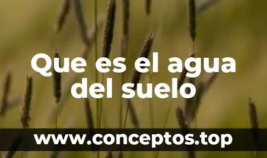 Que es el agua del suelo