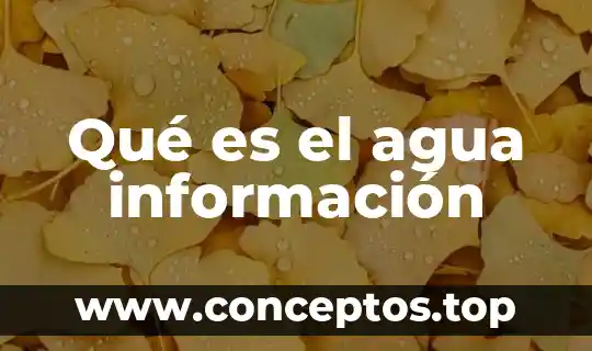 Qué es el agua información