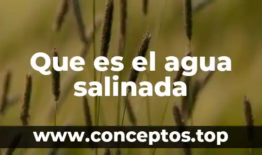 Que es la caja del agua 8 Que es el agua salinada