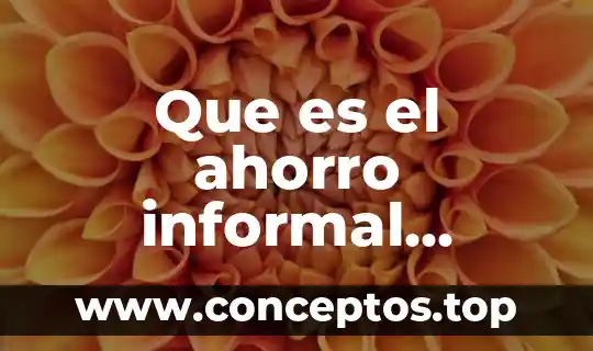 Que es el ahorro informal concepto