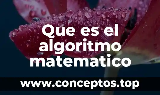 Que es el algoritmo matematico