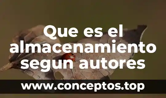 Que es el almacenamiento segun autores