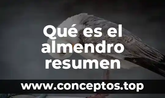 Resumen de lo que es la limpieza 3 Qué es el almendro resumen