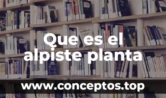 Que es el alpiste planta