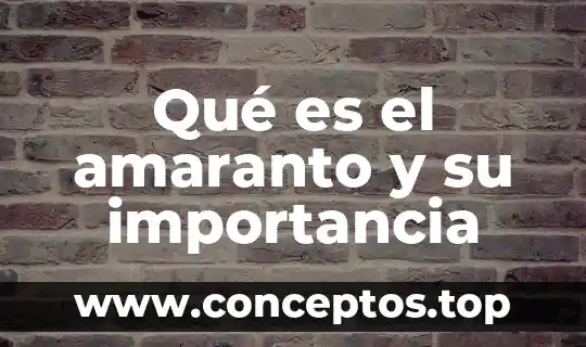 Qué es el amaranto y su importancia