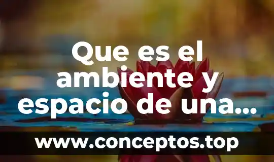 Que es el ambiente y espacio de una narración
