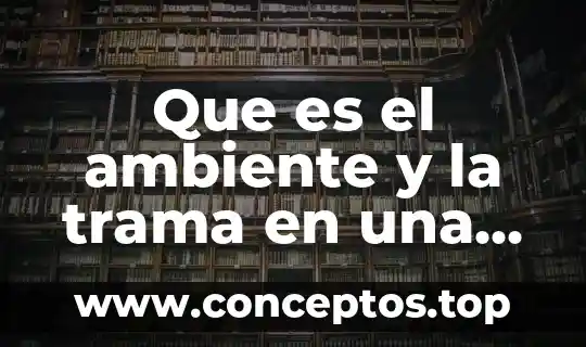 Que es el ambiente y la trama en una novela