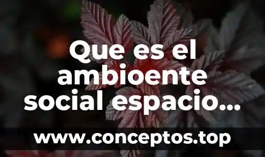 Que es variantes de aspectos de un mismo cuento 3 Que es el ambioente social espacio y tiempo enun cuento