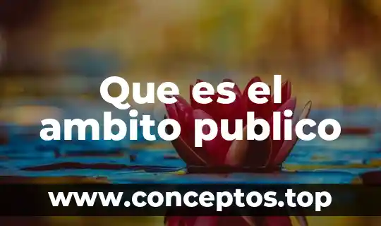 Que es el ambito publico