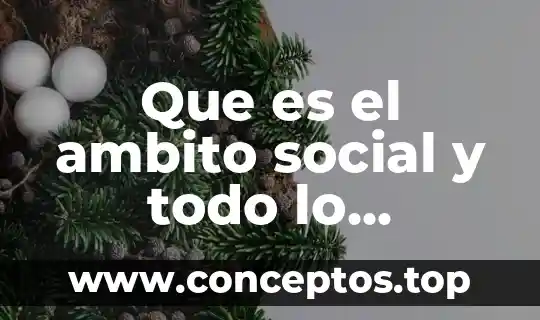 Arniaca que es que cura todo sobre esta planta 6 Que es el ambito social y todo lo relacionado