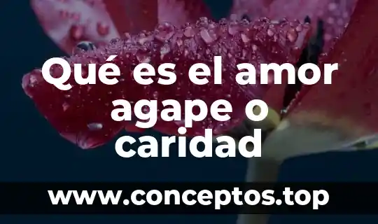 Que es albur de amor 7 Qué es el amor agape o caridad