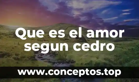 Que es el amor segun cedro
