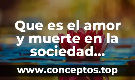 Que es el amor y muerte en la sociedad contemporanea