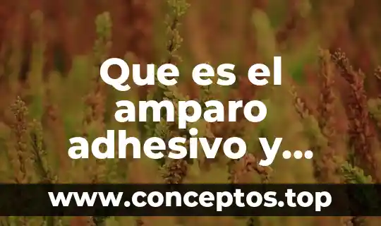 Que es el amparo adhesivo y para que sirve