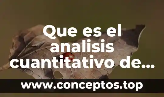 Que es el analisis cuantitativo de una empresa