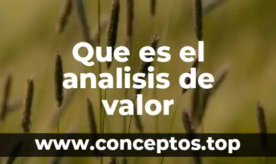 Que es el analisis de valor