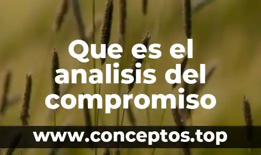 Que es el analisis del compromiso