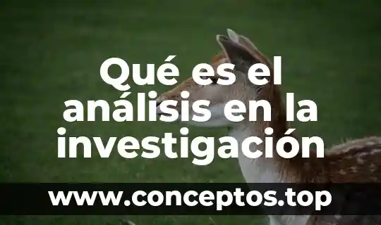 Qué es el análisis en la investigación