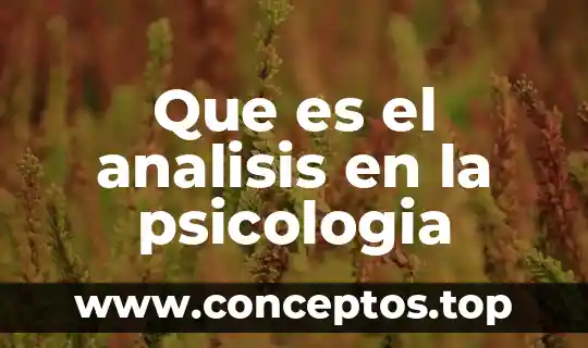 Que es el analisis en la psicologia